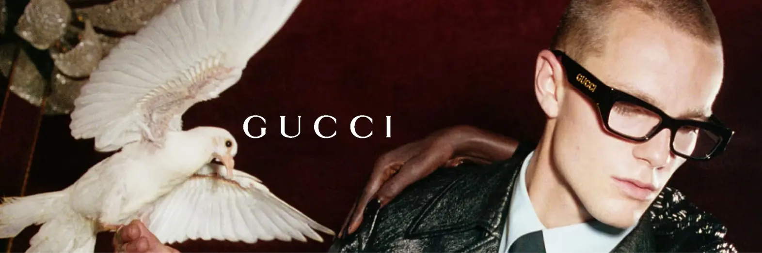 Lens & Luxe eyewear collection showcase