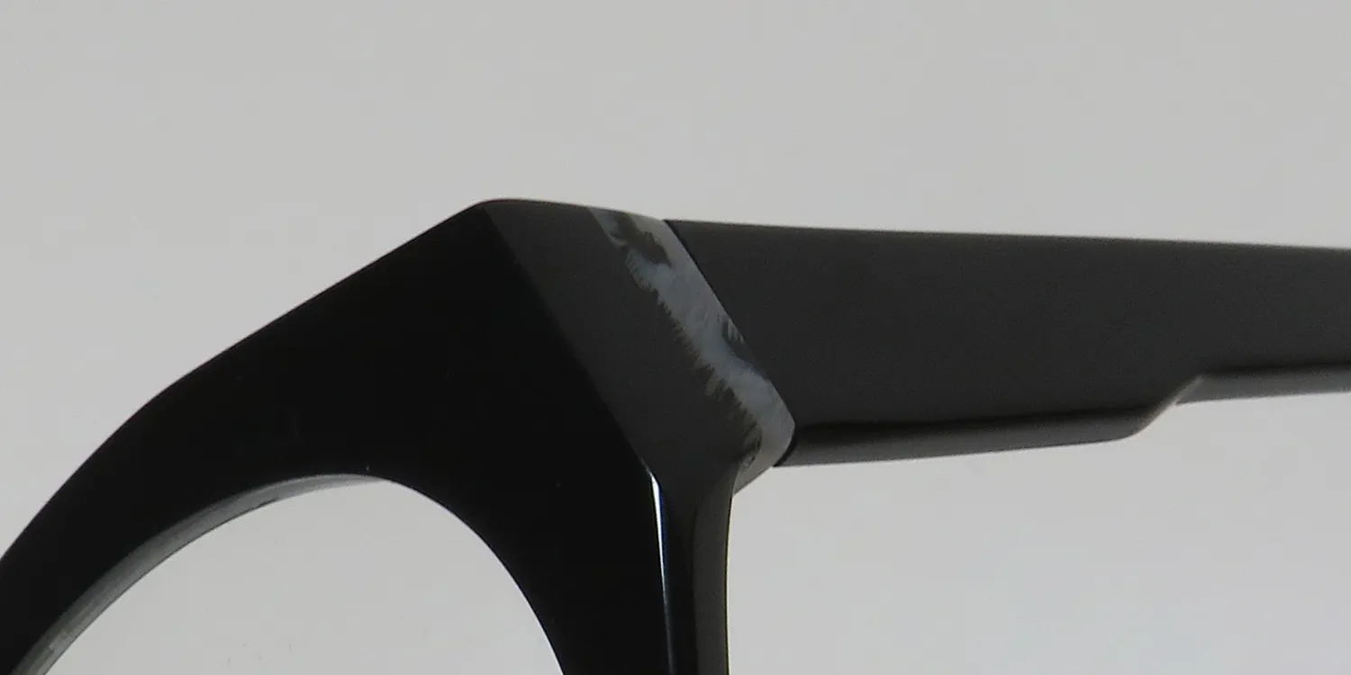 Harry Lary Complexy 101g Eyeglasses Black 53mm 6