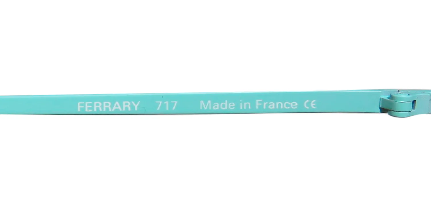 Harry Lary Ferrary 717 Eyeglasses Mint 48mm 8