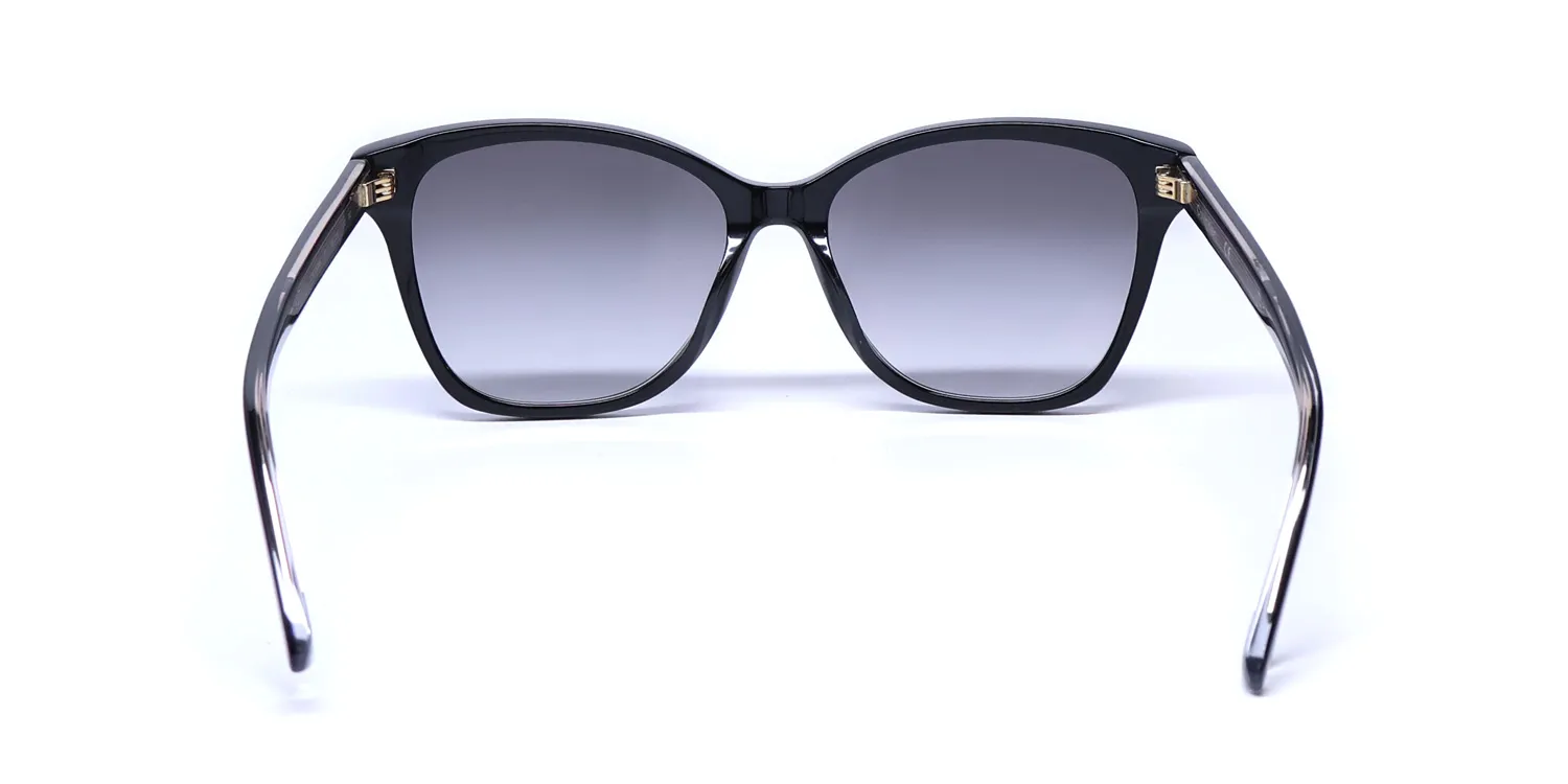 Calvin Klein Ck21529sg 001 Sunglasses Black 55mm 5