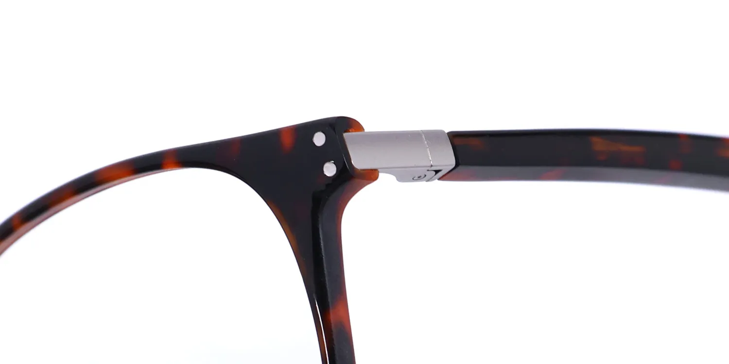Morel Nomad 3216s tt032 Eyeglasses Brown Scale 49mm Unisex 6