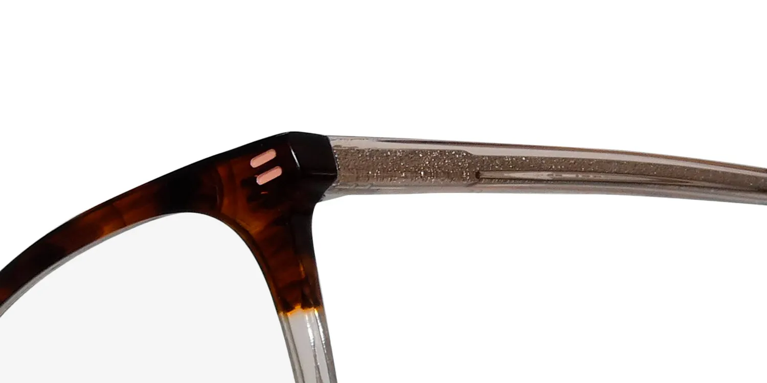 Morel Nomad 40151n mp05 Eyeglasses Brown 51mm 6