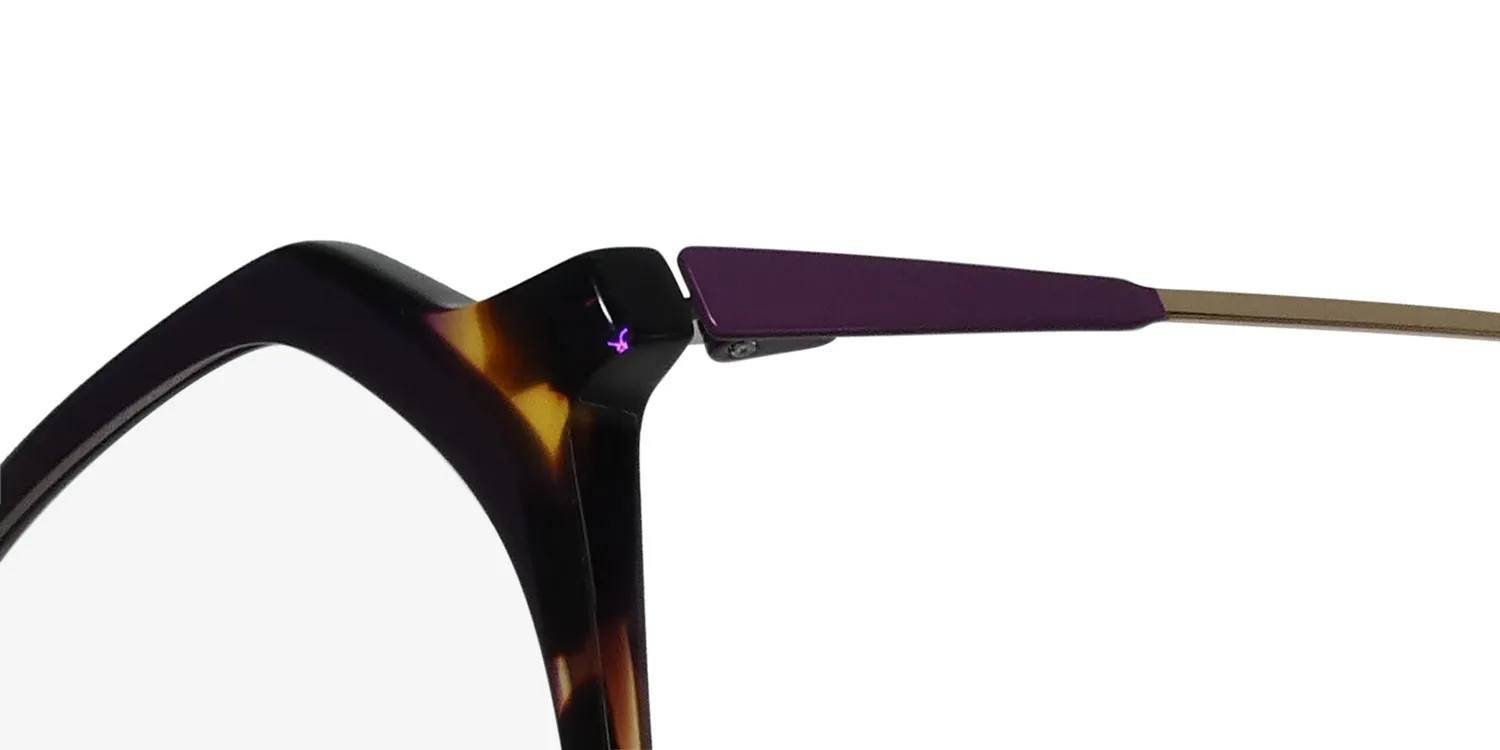 Morel Nomad 40222n tp03 Eyeglasses Brown 52mm 6