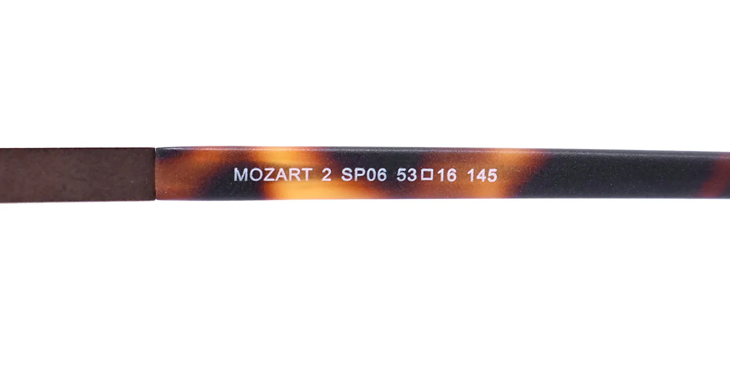 Morel Mozart 2 sp06 Eyeglasses Brown 53mm 7