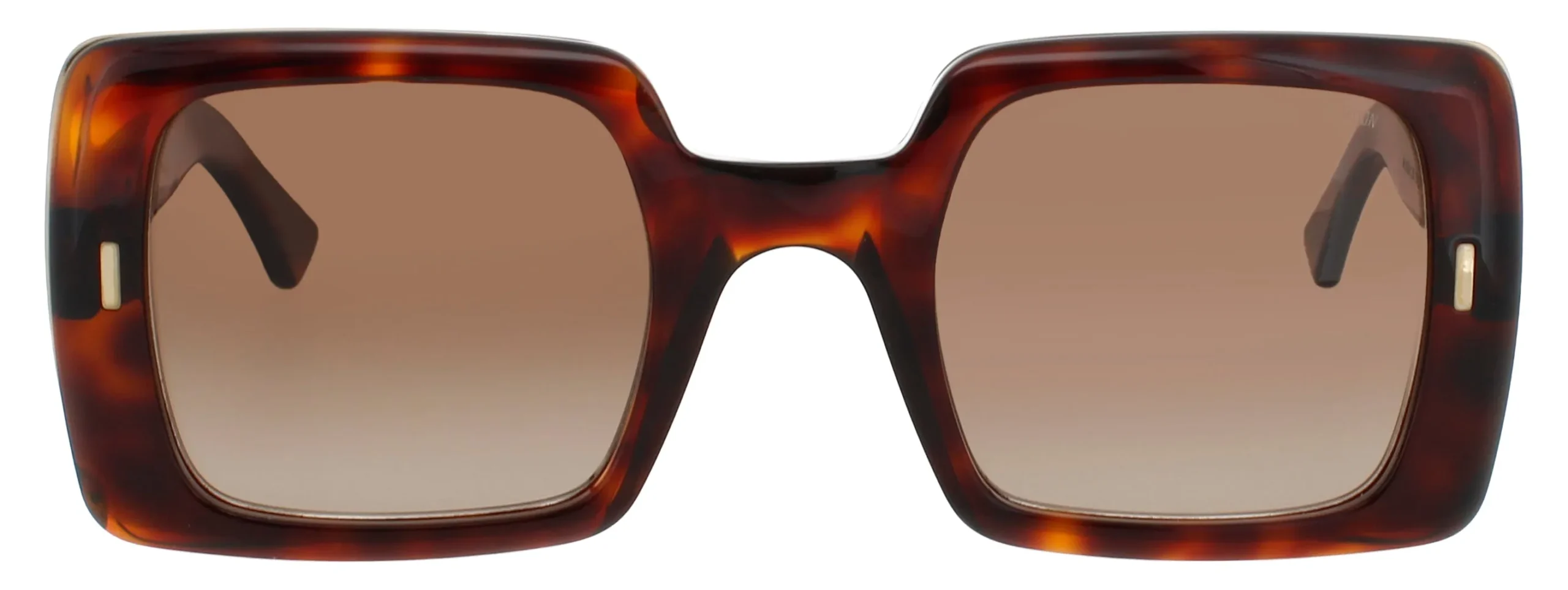 Cutler and Gross CGSN-1326 01 Sunglasses Dark Turtle 51mm Women 2