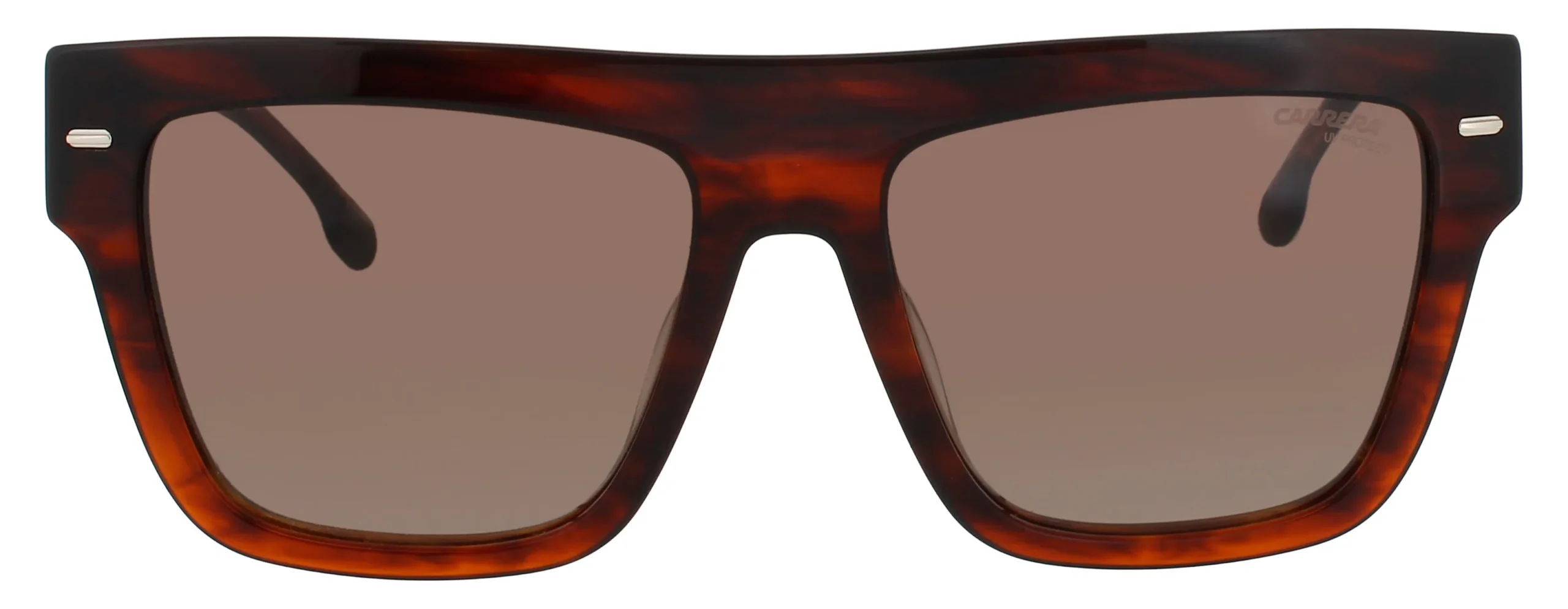 Carrera 3016/S EX4 Sunglasses Brown Horn 55mm Women 2