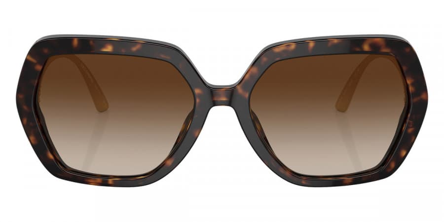 Dolce & Gabbana DG4468B 502/13 Sunglasses Brown 58mm Women 2