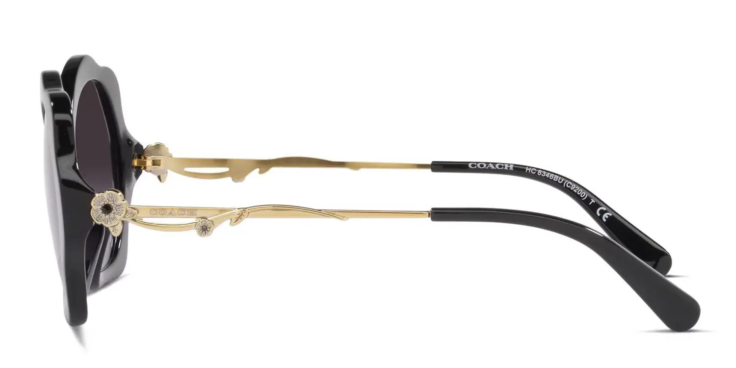 Coach HC8346BU C9200 Sunglasses Black 55mm Women 3