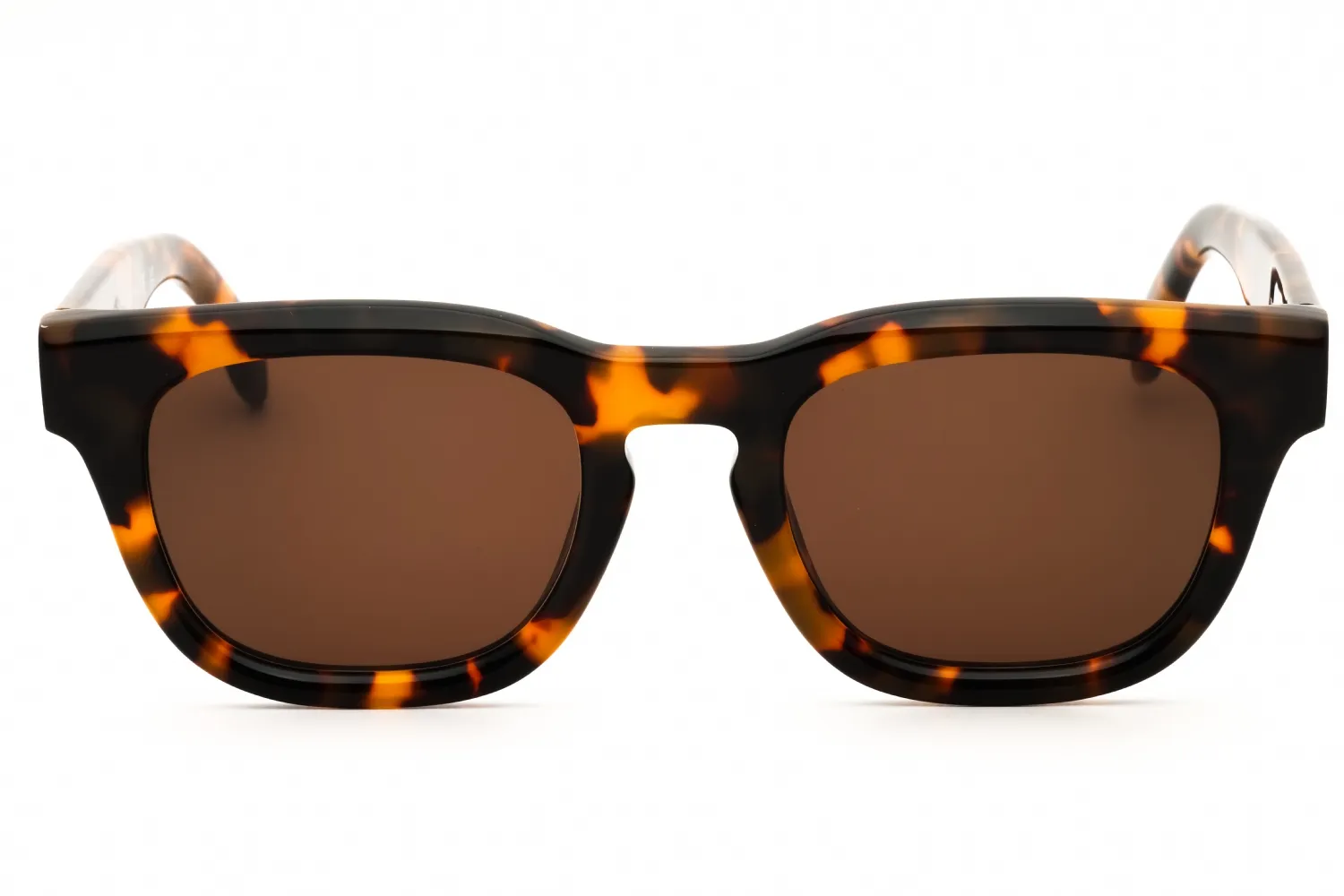 Palm Angels ECHO 6064 Sunglasses Havana 50mm Unisex 2
