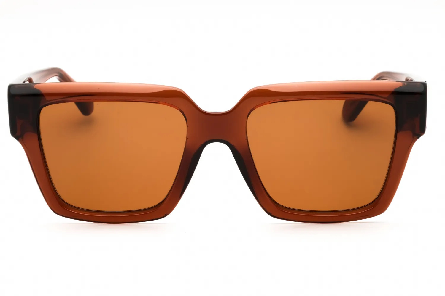 Salvatore Ferragamo SF2014S 232 Sunglasses Transparent Brown 54mm Women 2
