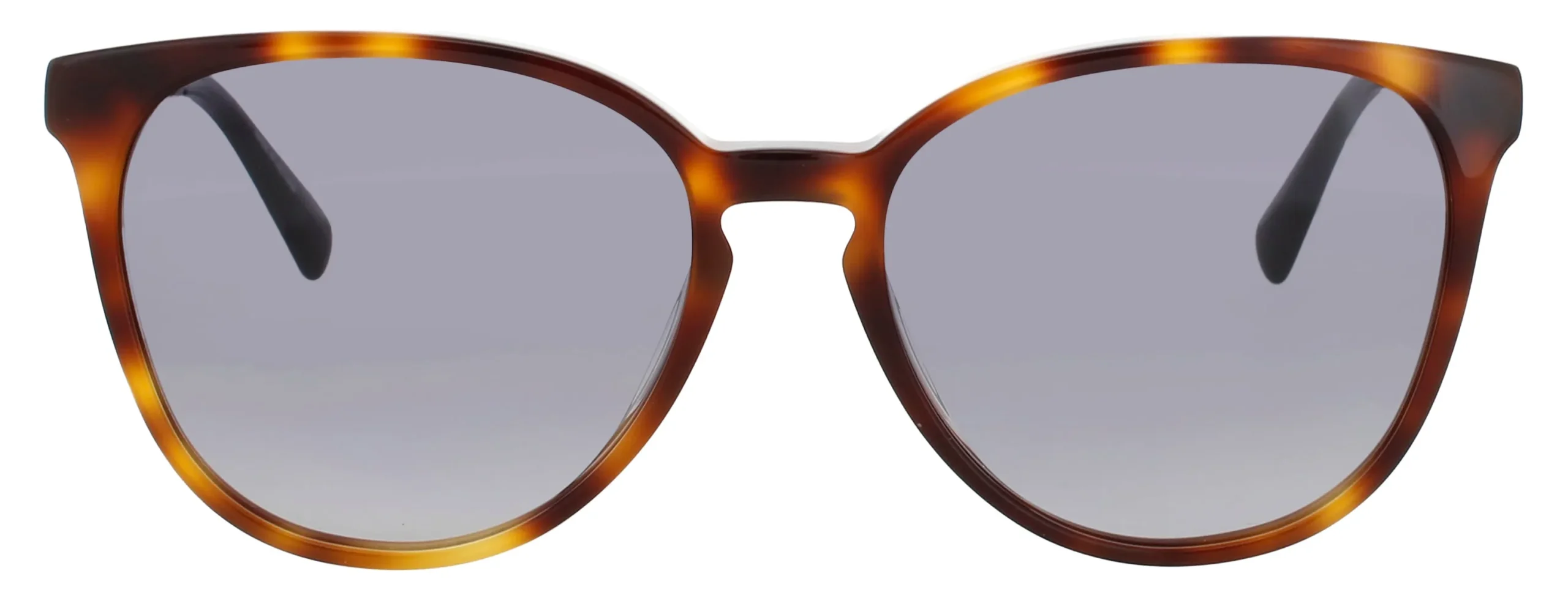 Longchamp LO647S-N 219 Sunglasses Havana 53mm Women 2