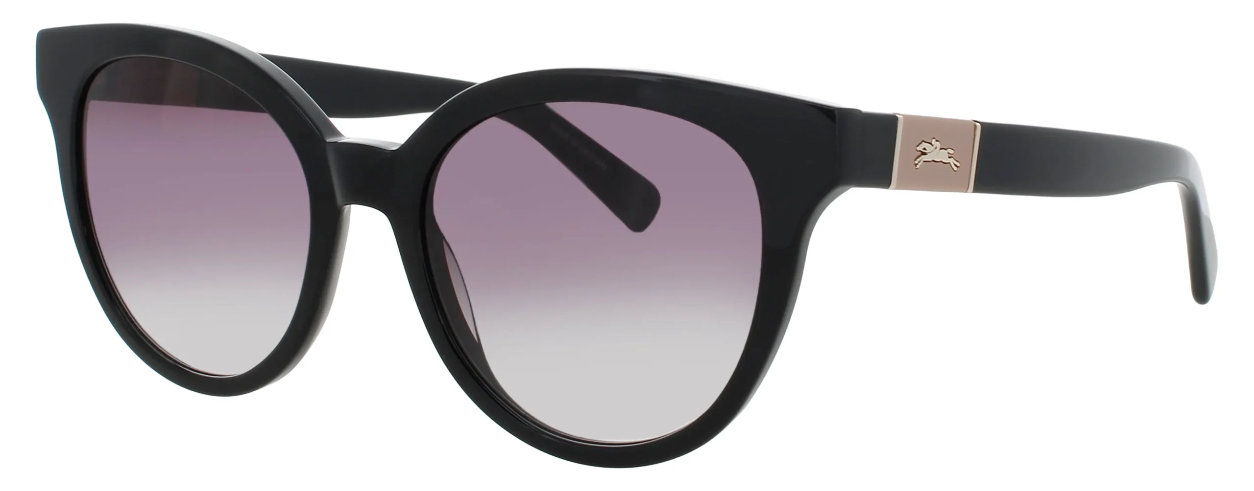 Longchamp LO697S-N 001 Sunglasses Black 53mm Women