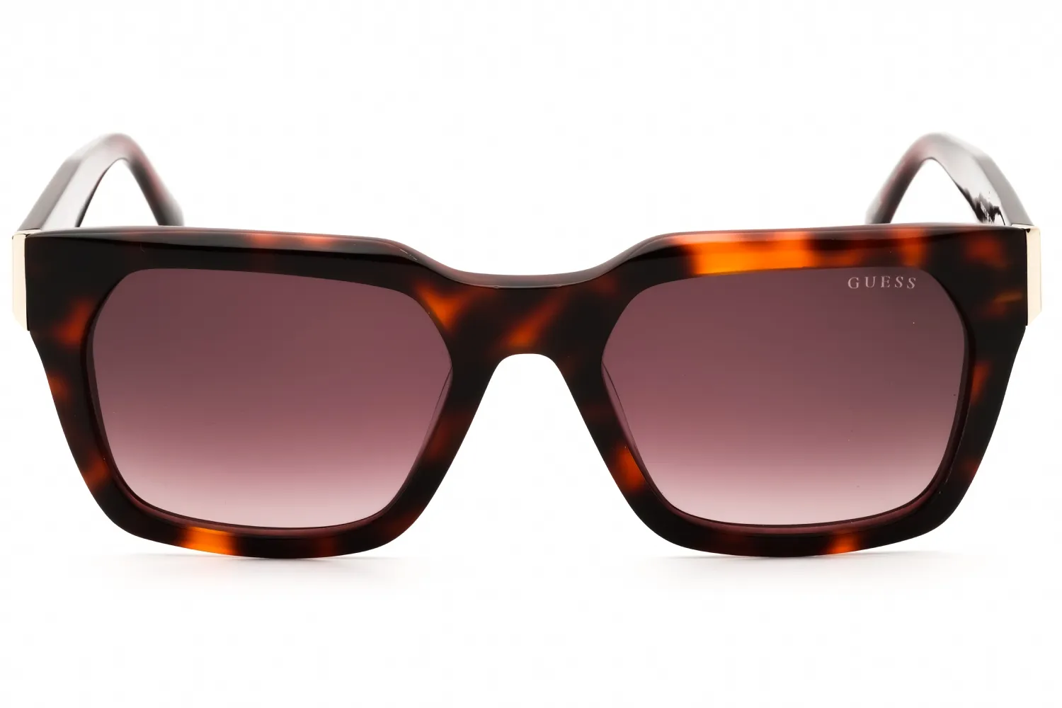 Guess GU00172 56F Sunglasses Havana 53mm Men 2
