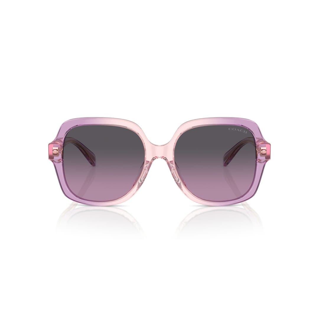 Coach HC8395U CR614 581390 Sunglasses Multicolor 140mm Unisex 2