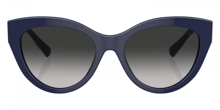 Tiffany & Co. TF4220 8396/3C Sunglasses Dark Blue 54mm Women 2