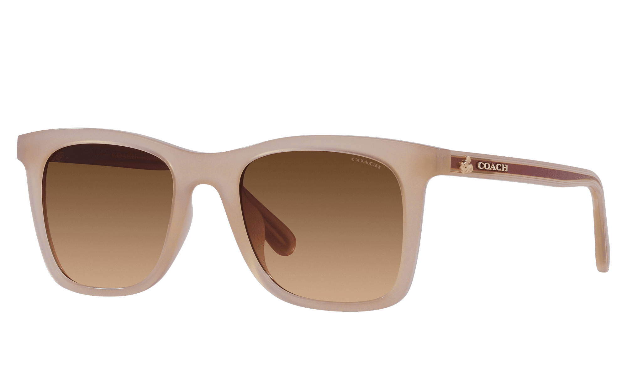 Coach HC8132 L109 529113 Sunglasses Milky Ivory 51mm Women