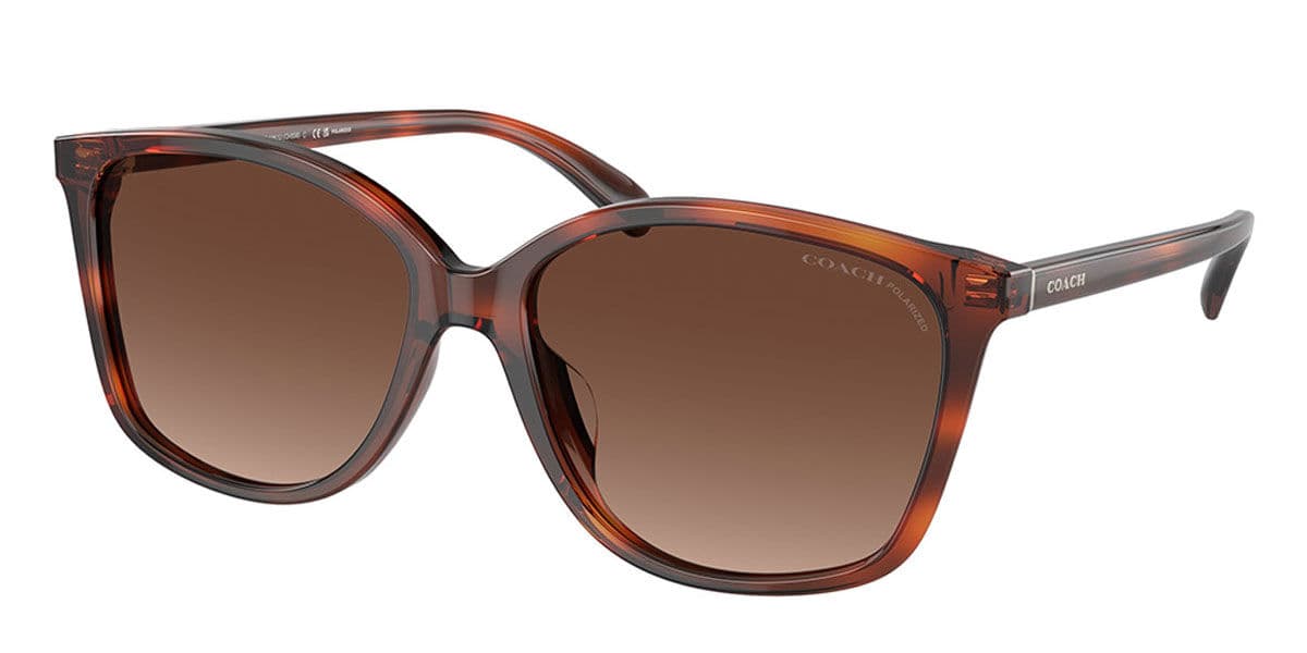 Coach HC8361U CH559 5741T5 HC8361U Asian Fit Polarized Sunglasses Brown 140mm Women