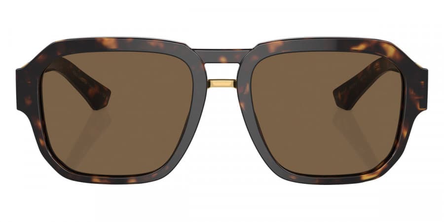 Dolce & Gabbana DG4464F 502/73 Sunglasses Tortoise Gold 56mm Men 2