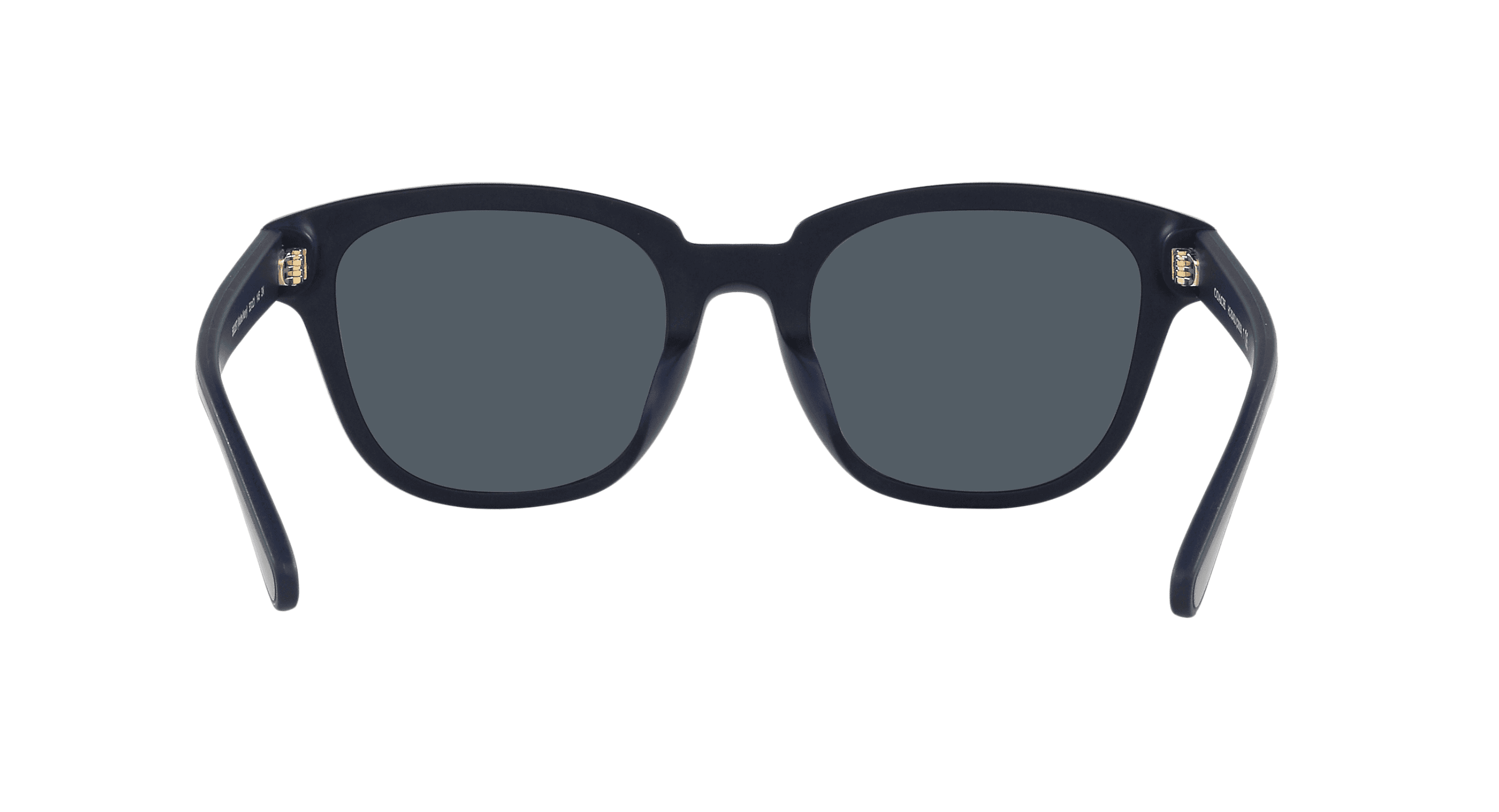 Coach HC8340U C8003 Sunglasses Matte Navy 53mm Men 2