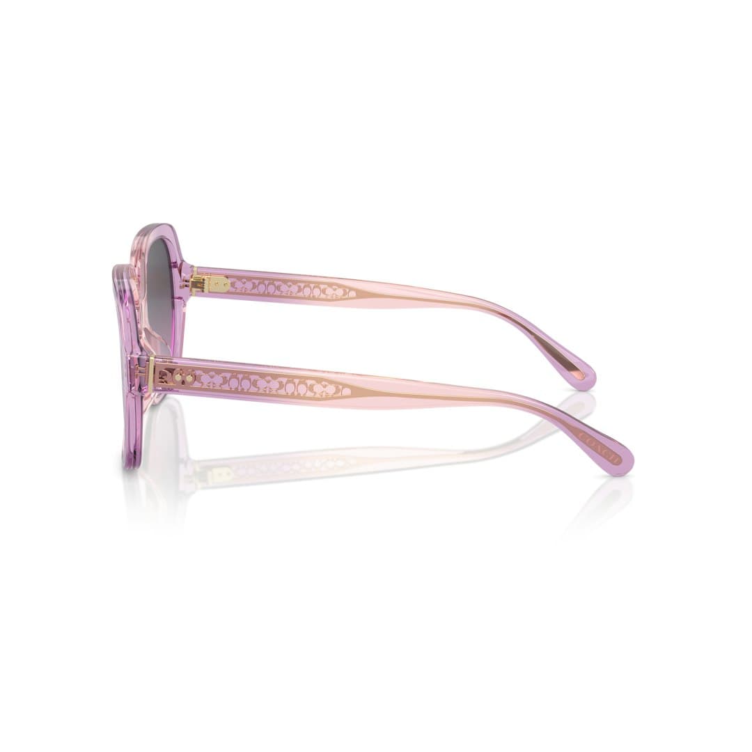Coach HC8395U CR614 581390 Sunglasses Multicolor 140mm Unisex 4