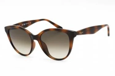 Salvatore Ferragamo SF1073S 240 Sunglasses Tortoise