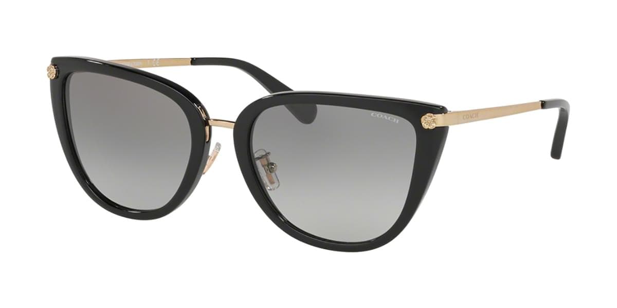 Coach HC8271U L1101 5120T5 HC8271U Polarized Sunglasses Brown 140mm Women