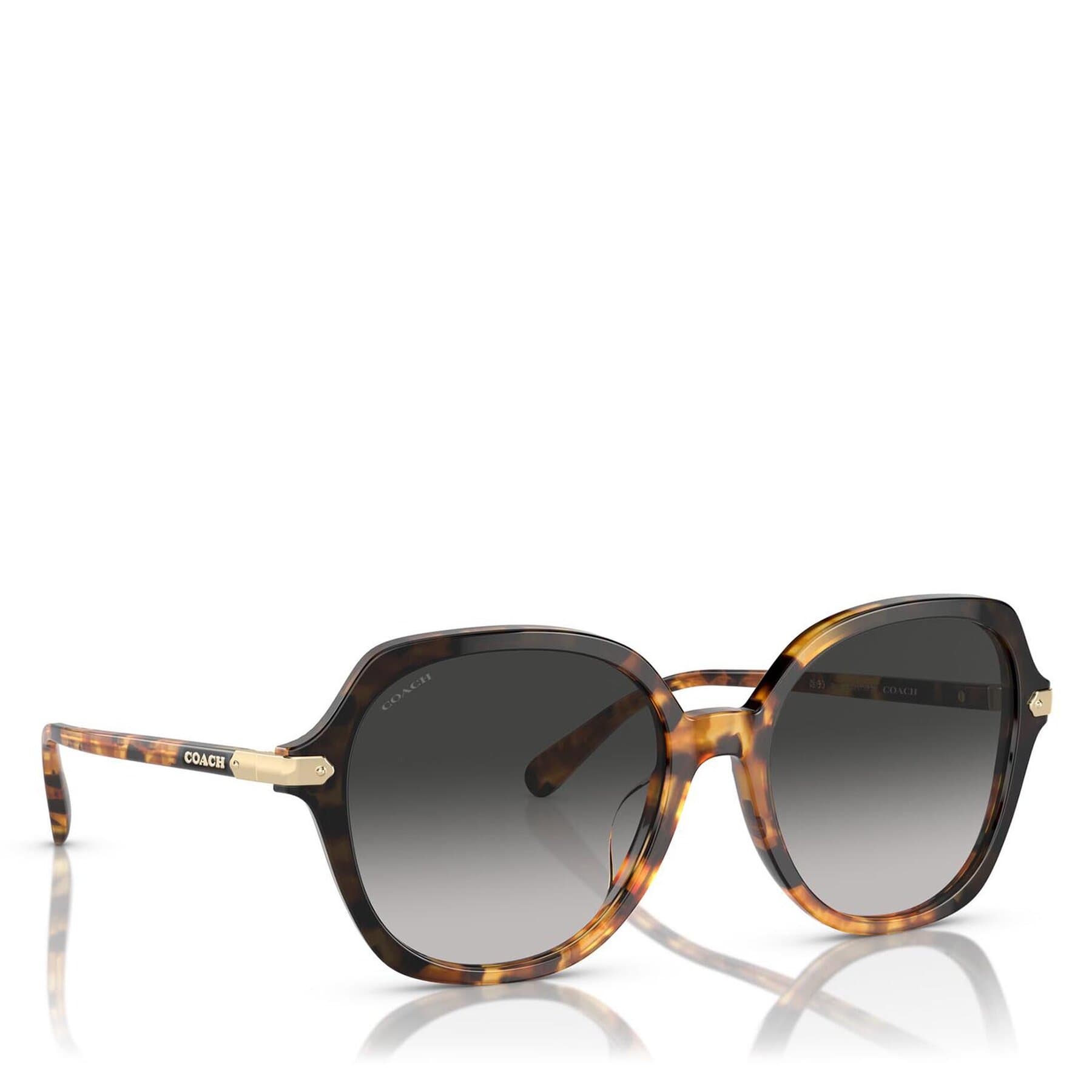 Coach HC8377U CL925 577613 Sunglasses Brown 145mm Women