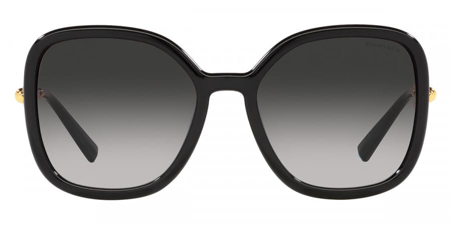 Tiffany & Co. TF4202-U 8001/3C Sunglasses Black 57mm Women 2