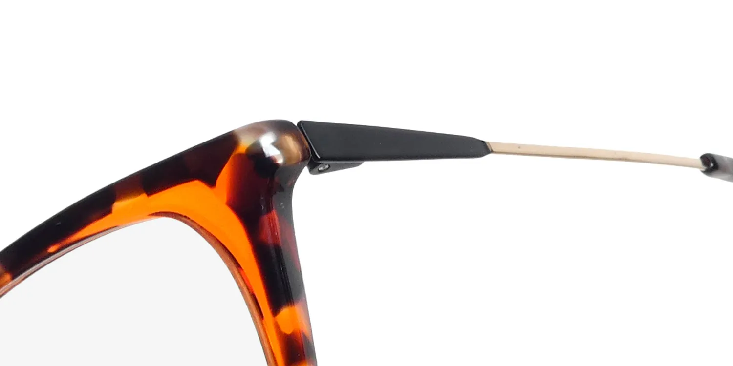 Morel Nomad 40224n to09 Eyeglasses Brown 51mm 6