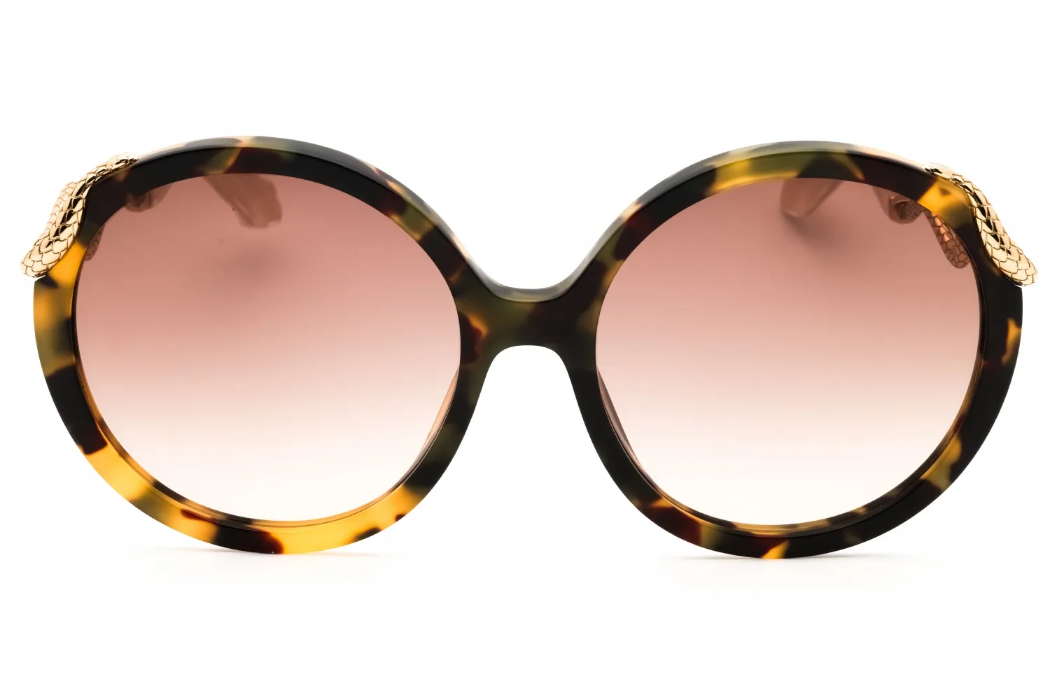 Roberto Cavalli SRC004M 0AGG Sunglasses Shiny Havana 59mm Women 2