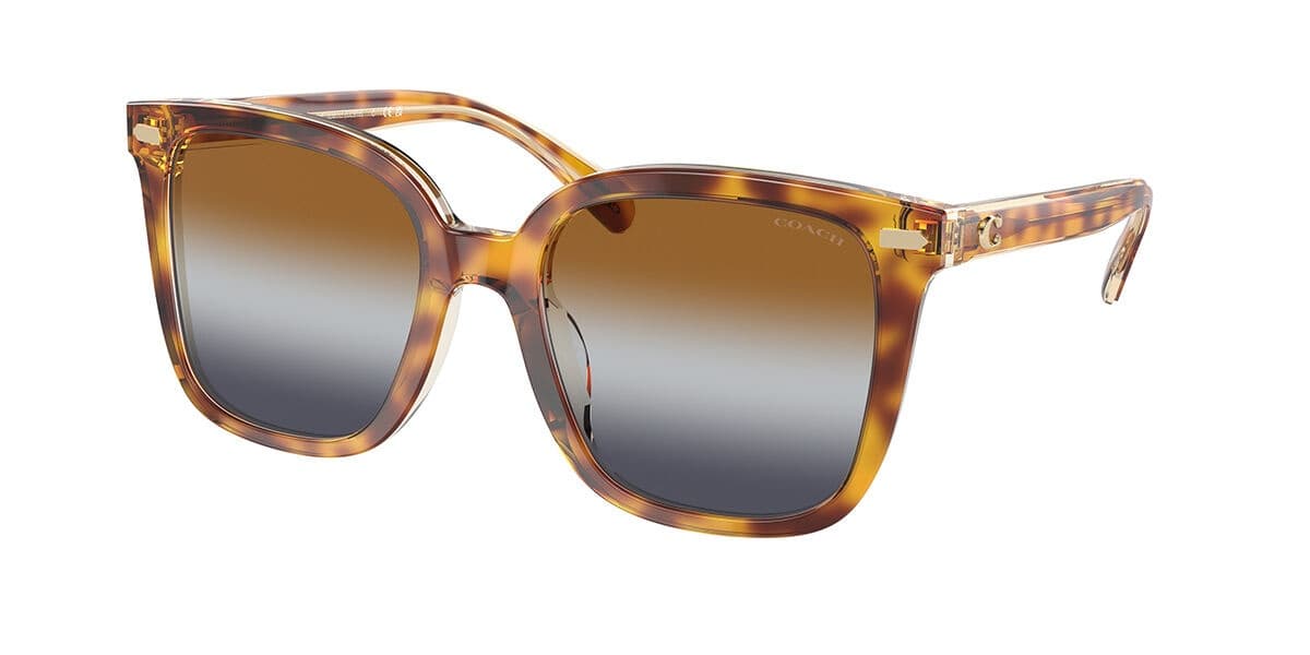 Coach HC8381U CL918 57563J Sunglasses Brown 145mm Women