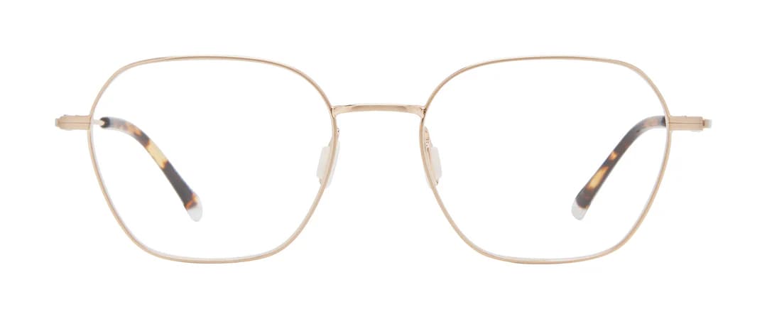 Paradigm 19-01 450 Eyeglasses Gold 52mm Men 2