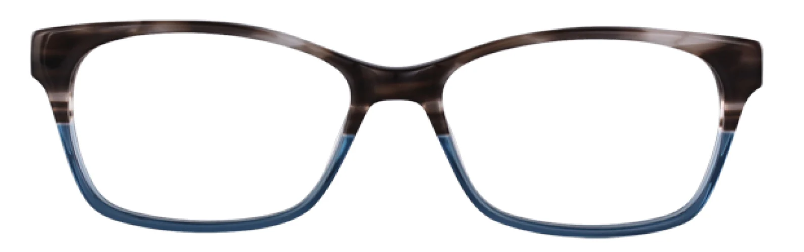 Vera Bradley Grace Eyeglasses Superbloom 53mm Women 2