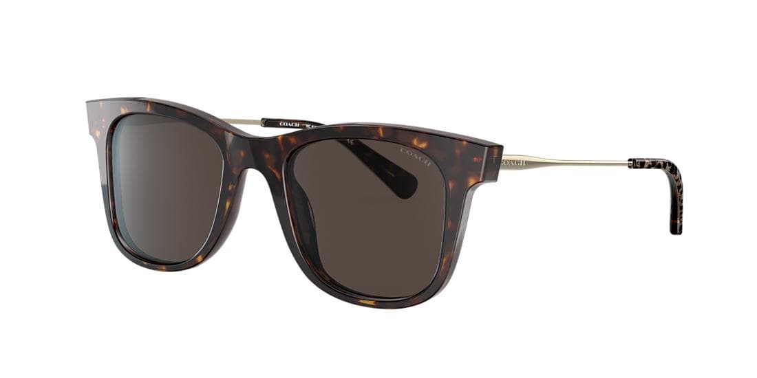 Coach HC8290 L1135 503173 HC8290 Sunglasses Brown 140mm Women