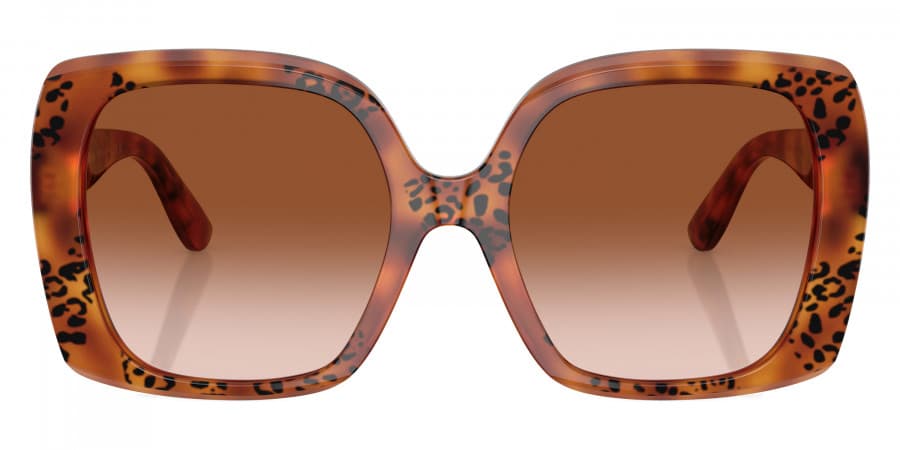 Dolce & Gabbana DG4475 338013 Sunglasses Brown 56mm Women 2
