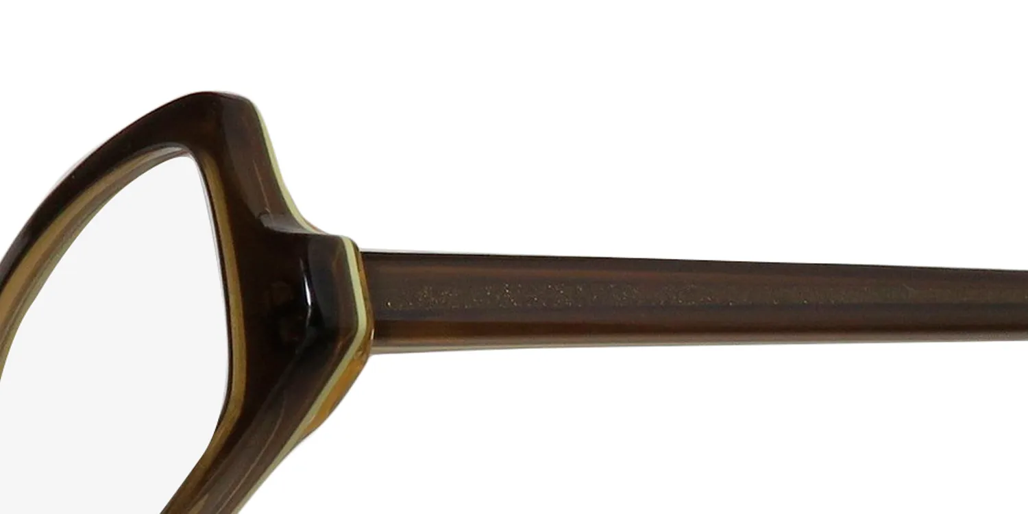 Harry Lary Stacey 307 Eyeglasses Brown 51mm 6