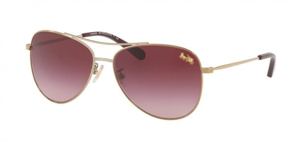 Coach HC7079 L1013 93228H HC7079 Sunglasses Gold 140mm Men