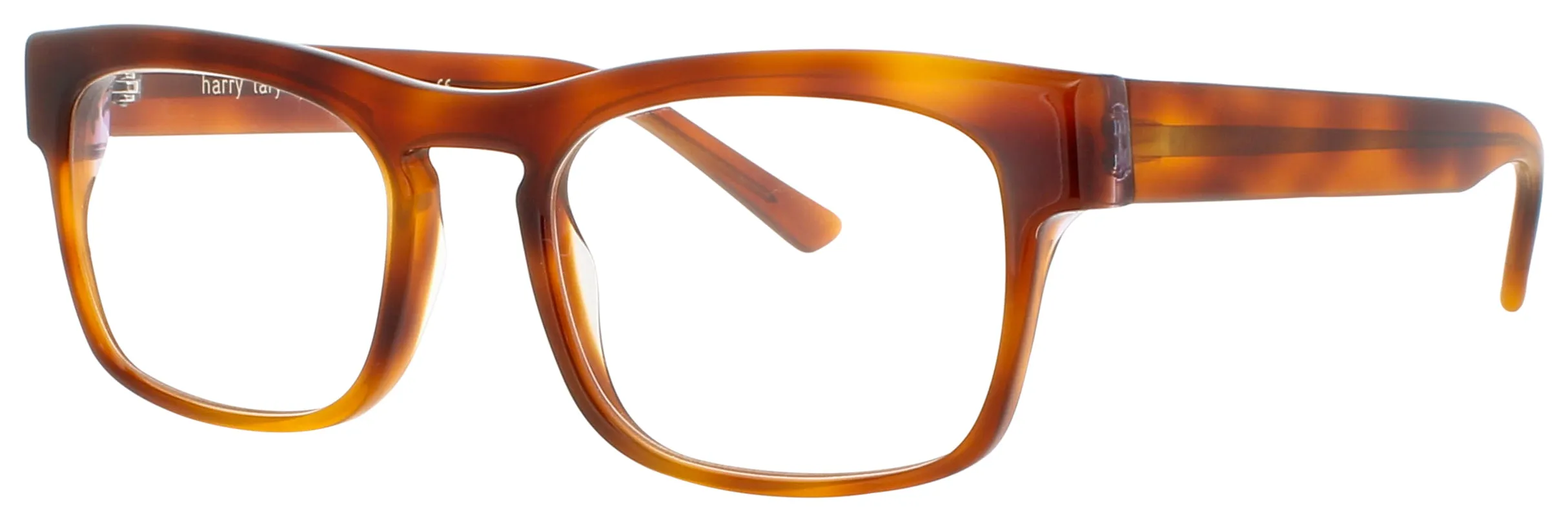 Harry Lary CONFORMITY 053M Eyeglasses Brown 53mm Men