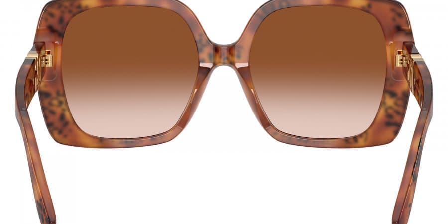 Dolce & Gabbana DG4475 338013 Sunglasses Brown 56mm Women 4