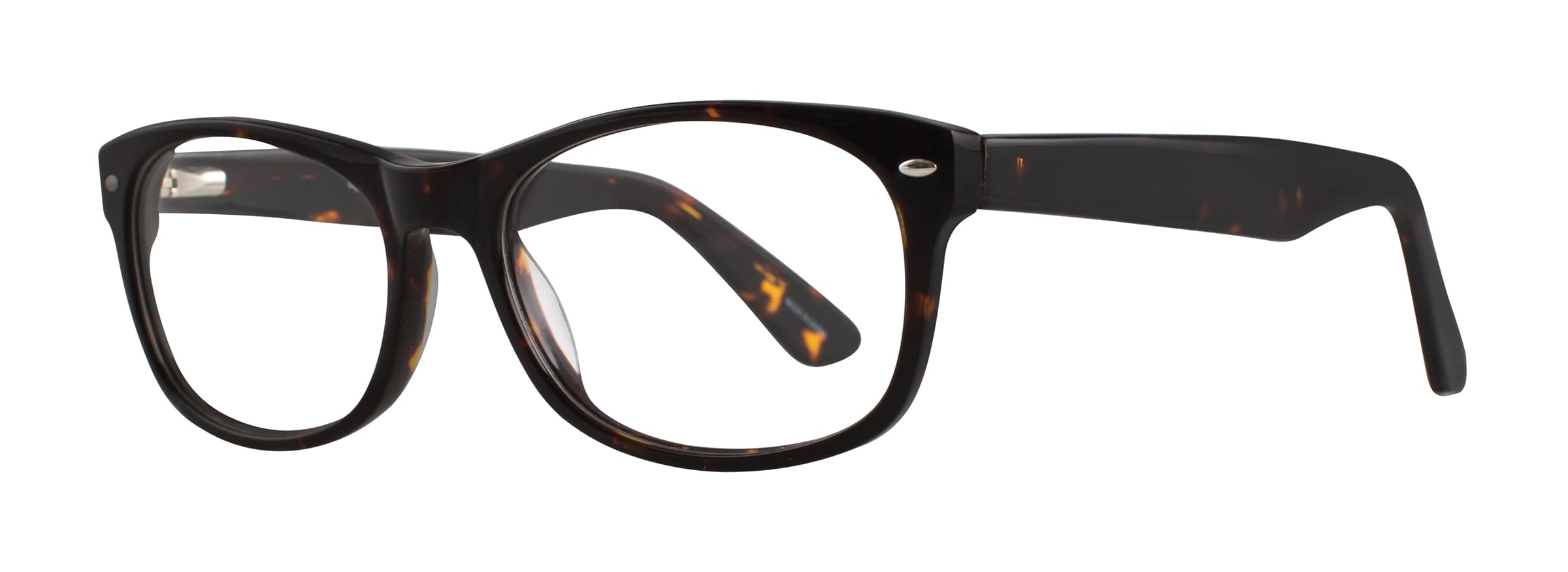 Eight To Eighty DONALD TORTOISE Eyeglasses Brown 57mm Men