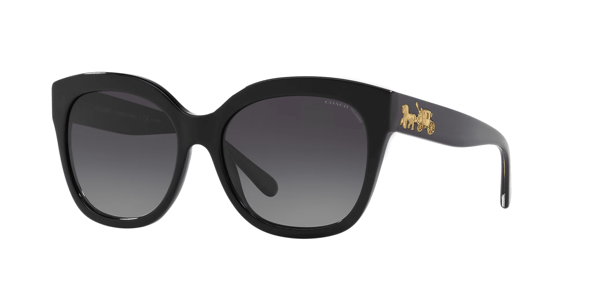 Coach HC 8264 L1083 5002T3 HC8264 Sunglasses Black 56mm Women