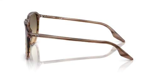 Ray-Ban RB2203 1392/0A RB2203 Sunglasses Brown 145mm Unisex 3