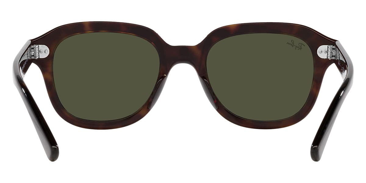 Ray-Ban RB4398 ERIK 902/31 Sunglasses Brown 53mm Men 4