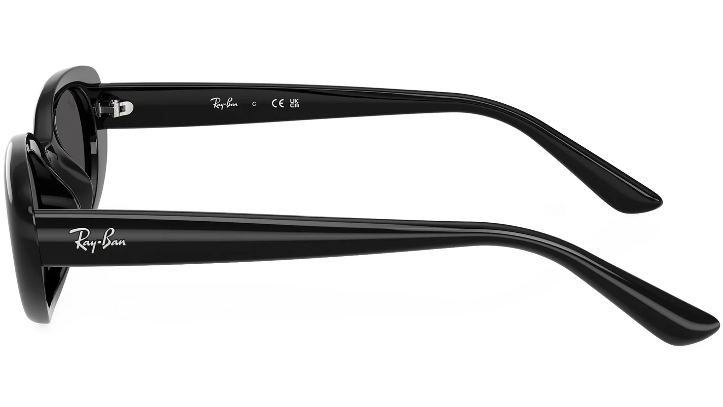 Ray-Ban RB4441D 667787 667787 Sunglasses Black 145mm Unisex 3