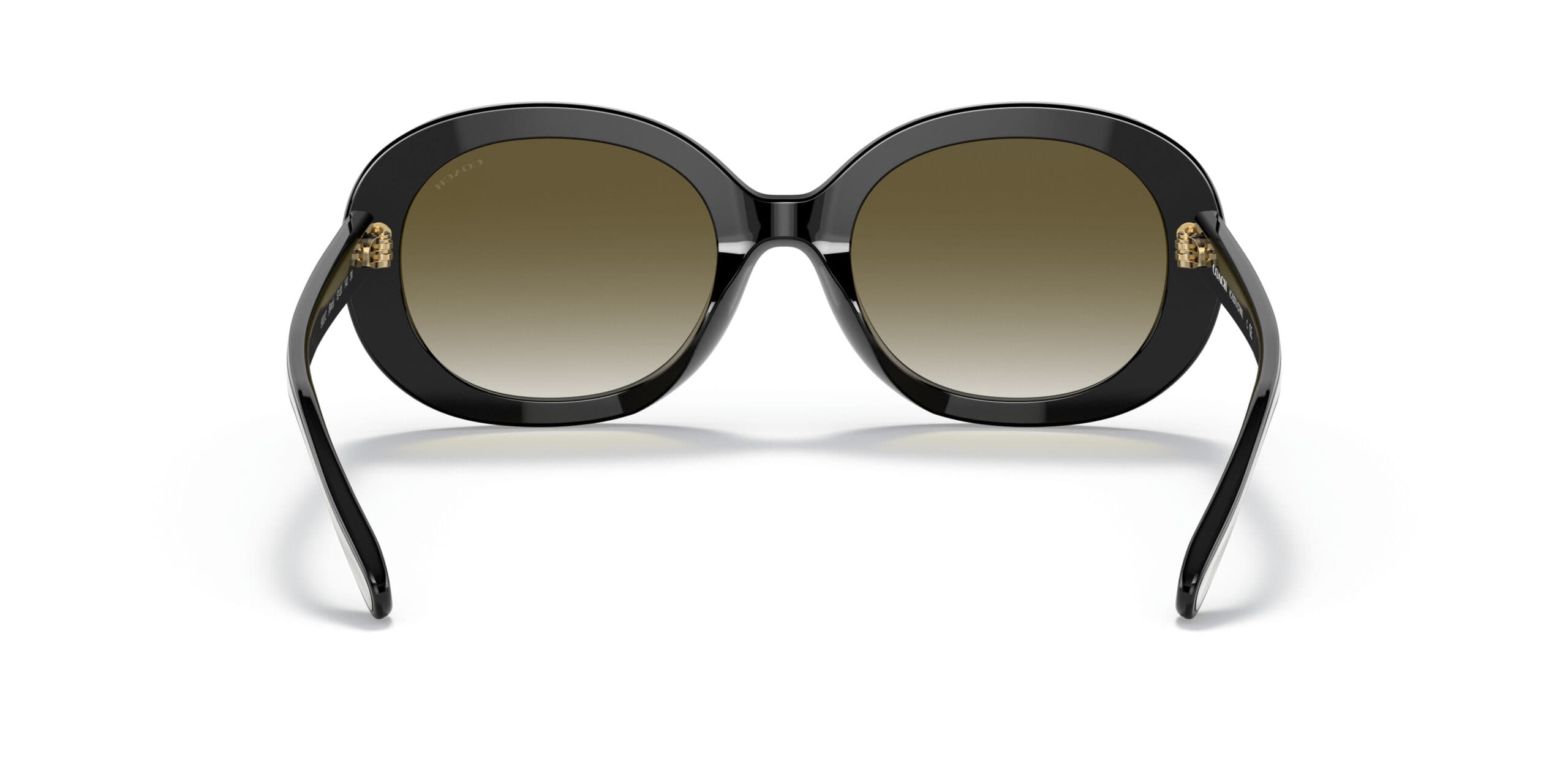 Coach HC8337U 50027Z Sunglasses Black 52mm Women 4