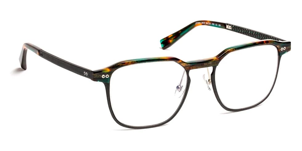 J.F. Rey JF3004 C9400 Eyeglasses Tortoiseshell Green/carbon 54mm Men