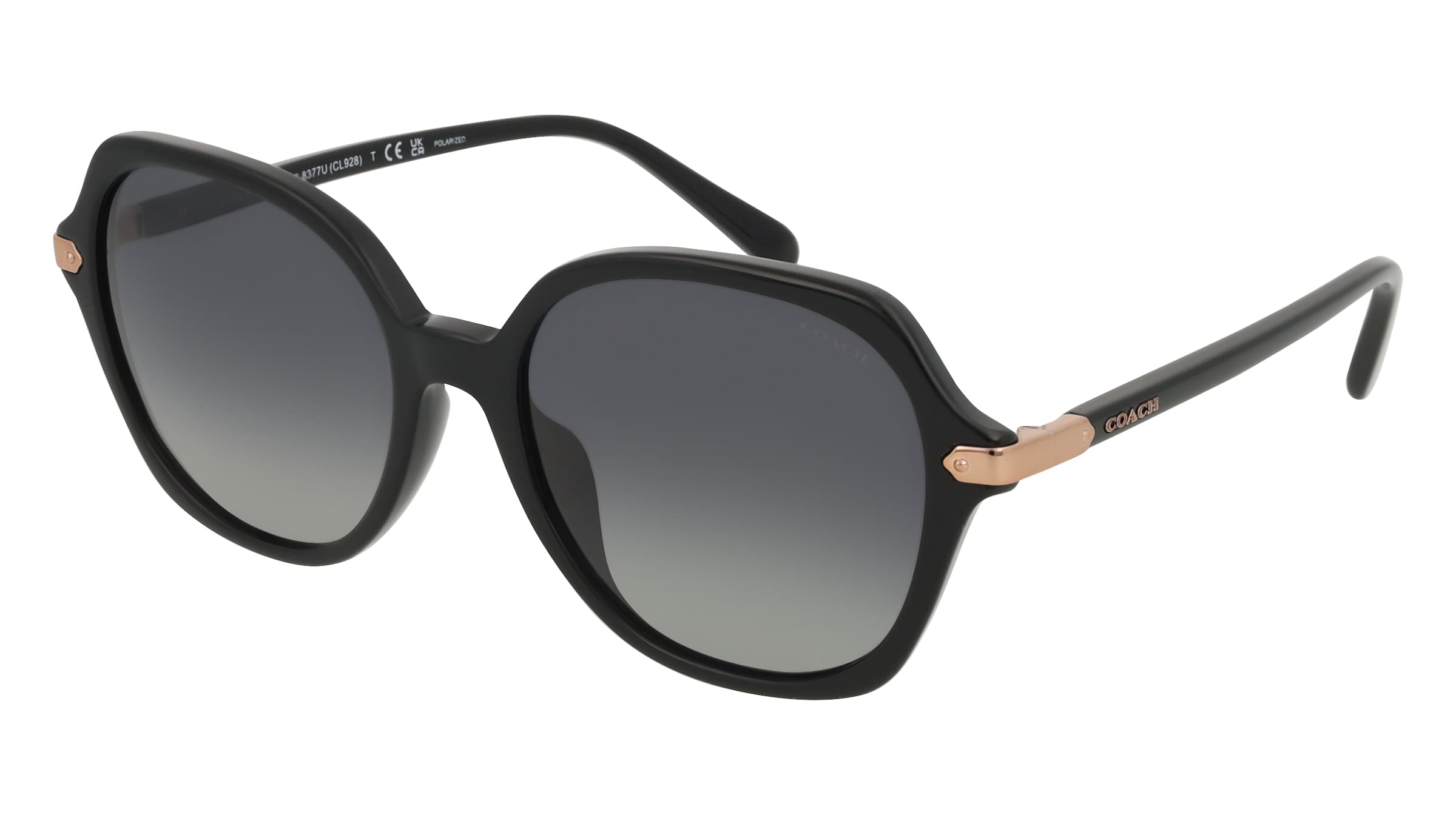 Coach HC8377U CL928 5002T3 Sunglasses Black 145mm Women 4