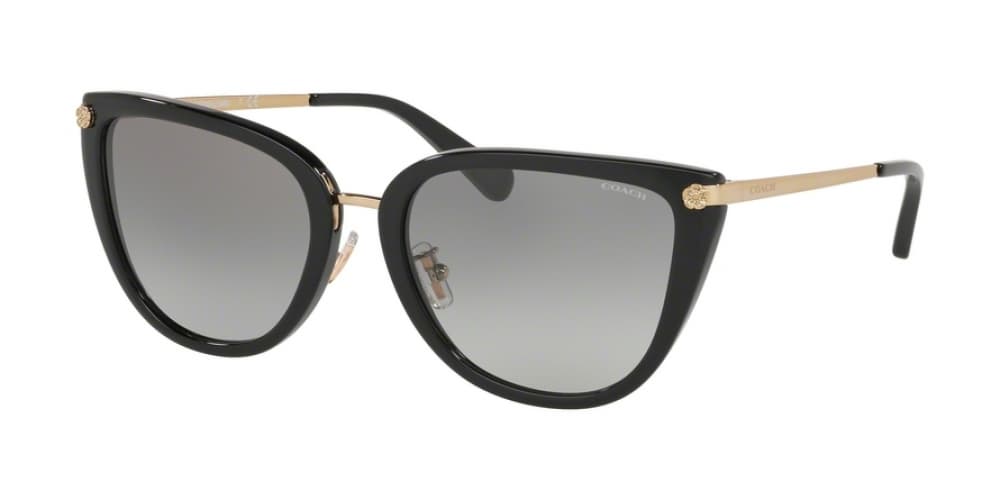 Coach HC8132 L109 529113 HC8276 Sunglasses Multicolor 140mm Women