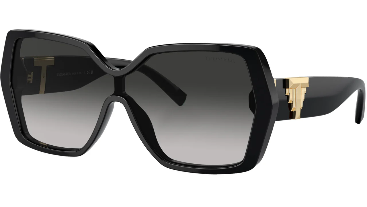 Tiffany & Co. 0TF4219 80013C Sunglasses Black 29mm Women