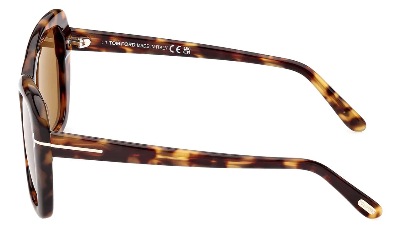 Tom Ford FT1008 55J Sunglasses Colored Havana 55mm Women 3